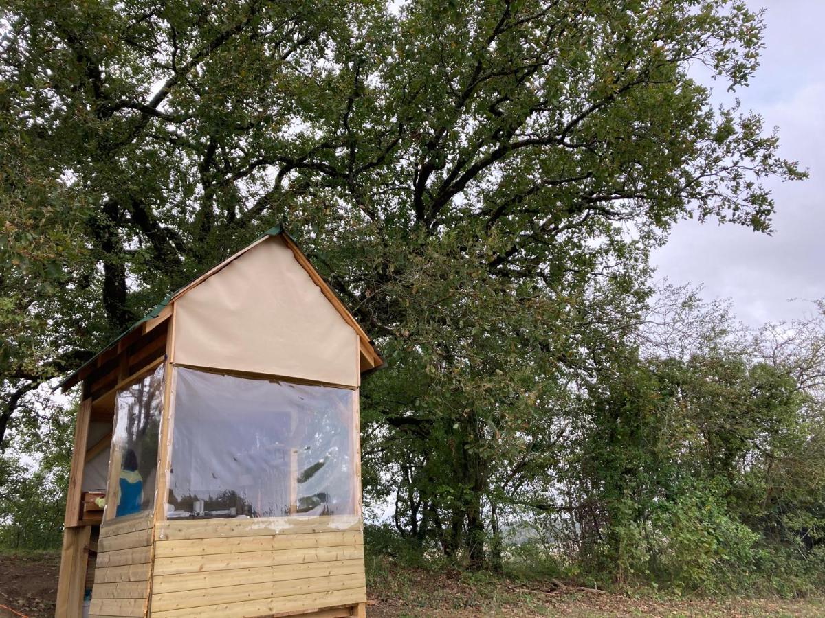 Cabane Bivouac Avec Echelle A L'Ombre Des Chenes Idrac-Respailles Εξωτερικό φωτογραφία