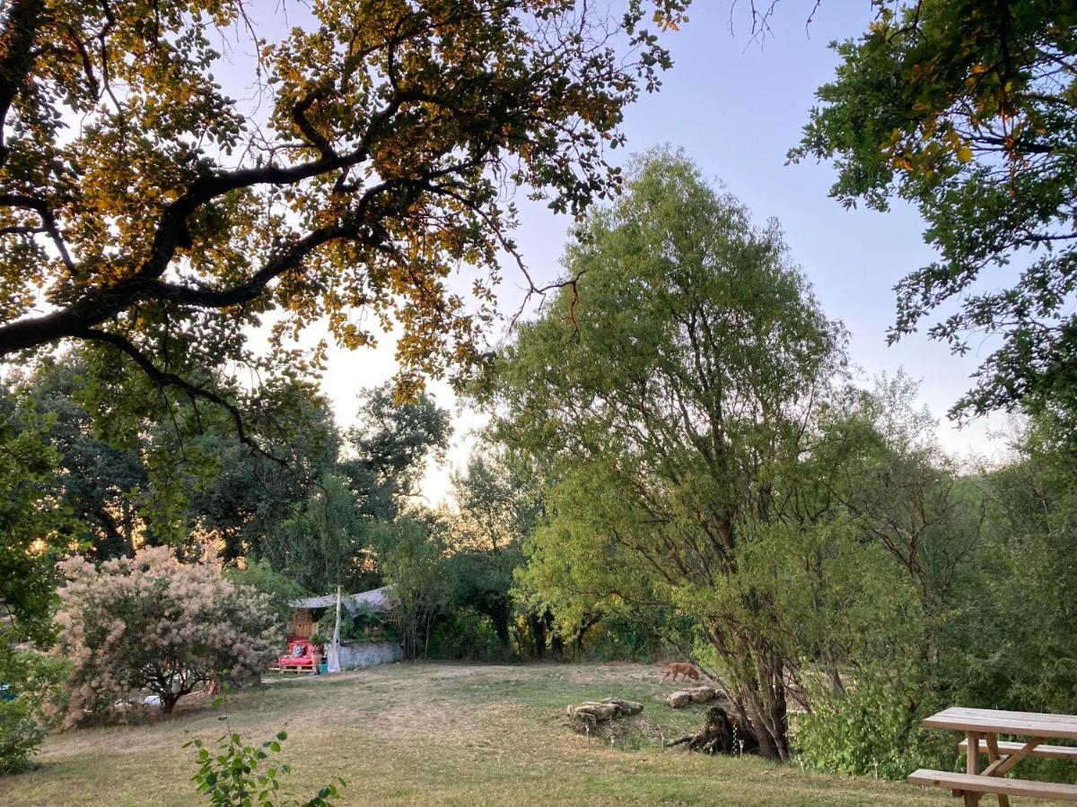 Cabane Bivouac Avec Echelle A L'Ombre Des Chenes Idrac-Respailles Εξωτερικό φωτογραφία